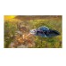Joc PS4 Destroy All Humans