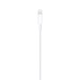 Apple Cable USB to Lightning 1m, White
