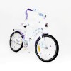 Frozen Children's Bicycle, 20