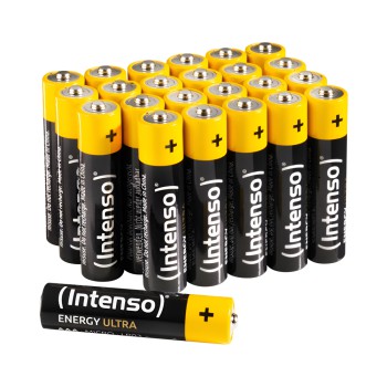 Intenso® Batteries AA LR06 24pcs Plastikbox.