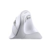 UGREEN Mouse Multi-mode Vertical MU008, White