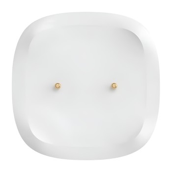 Sonoff Zigbee Water Leak Sensor SNZB-05P