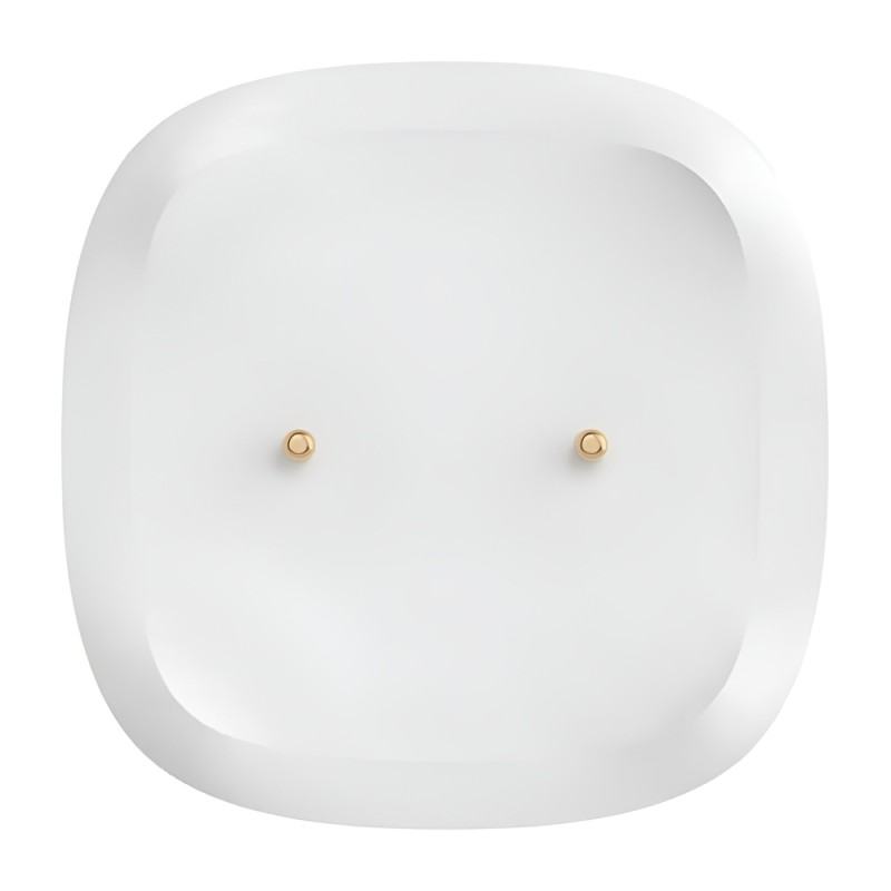 Sonoff Zigbee Water Leak Sensor SNZB-05P