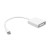 LMP Mini-DisplayPort to DVI adapter, Mini-DP to DVI monitor, White