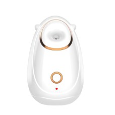 BestWay BFS-01 Facial Steamer
