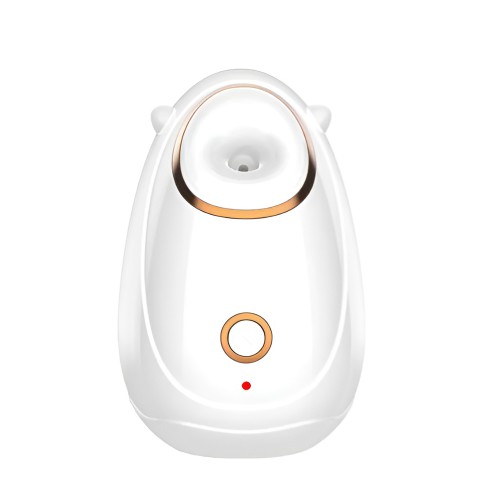 BestWay BFS-01 Facial Steamer