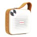Aiwa Portable Bluetooth Speaker Square BS-100GY
