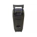 Eden Party Speaker ED-1015 with 2 Wireless Microphones 100W, H=73cm, Black
