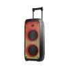 Eden Party Speaker ED-1016 with 2 Wireless Microphones 100W, 10
