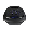 Eden Party Speaker ED-1007 with 2 Wireless Microphones 100W, Black