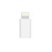 Helmet Adapter Type-C to Lightning, White