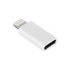 Helmet Adapter Type-C to Lightning, White