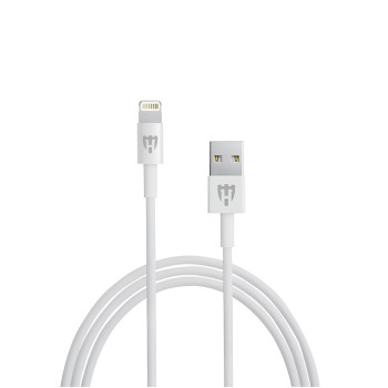 Helmet Car Charger with Lightning Cable 2xUSB 2.4A , Silver