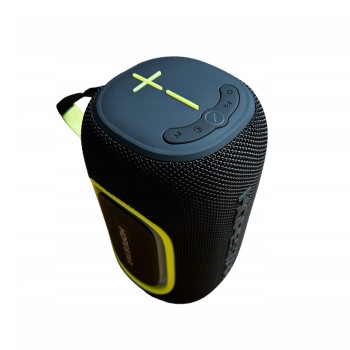 Hopestar Wireless Speaker P65, 20W, Black