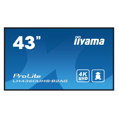 Iiyama Display 43