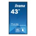 Iiyama Display 43