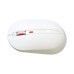 MIIIW Wireles Mute Mouse, White