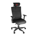 Genesis Chair Ergonomic Astat 700 G2, Black