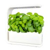 Green Grow hydroponics growing system 3 pods, White