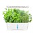 Green Grow hydroponics growing system 6 pods, White