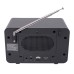 NOVEEN Portable Radio PR950 Black