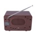 NOVEEN Portable Radio PR951 Brown