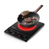 Raf Induction Cooker, R.8015