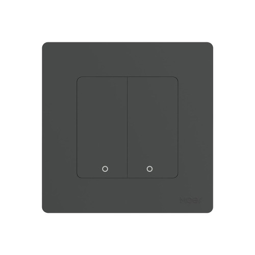 Moes Zigbee Star Ring Smart Push Button Swicth 2 Gang CR2032, Grey